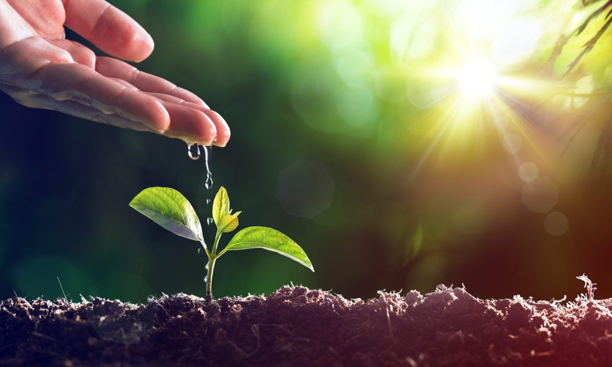 Optimal Goal Setting: Achieving Success Beyond New Year’s&nbsp;Resolutions